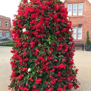 Meet your Posher, Marisol